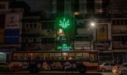 泰国将对医用大麻进行立法，表明不会再将其定罪