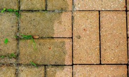 用35便士的厨房主食清洁庭院，而不是导致“不可逆污渍”的普通物品