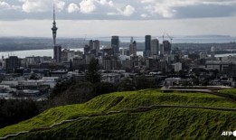 随着几维鸟逃离巢穴，新西兰人口增长停滞