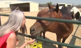 威斯敏斯特警察局说，杰弗逊公司的代表从被驱逐的房客手中抢走了枪