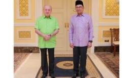 新国王接见安华