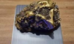 “改变生活”：澳大利亚人卢克·菲利普斯在维多利亚州巴拉瑞特发现了价值10万美元的疯狂发现