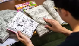 海贼王：从“利基中的利基”到全球现象